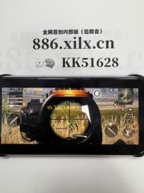 tfs飞行模拟器 1.30.5最新版